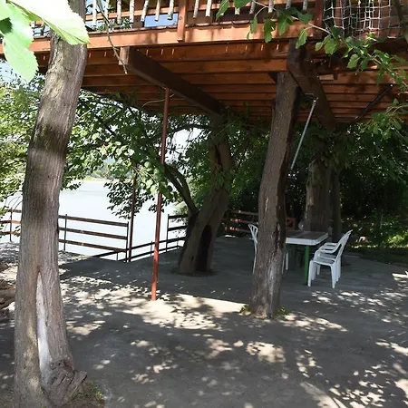 Kucica Na Drvetu Banja Koviljača