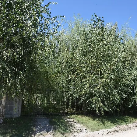 بيت للعطل Kucica Na Drvetu *