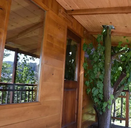 Kucica Na Drvetu Nyaraló Banja Koviljača