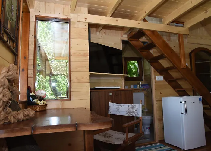 Kucica Na Drvetu Banja Koviljača