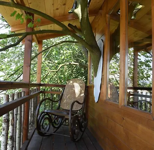 Kucica Na Drvetu Banja Koviljača