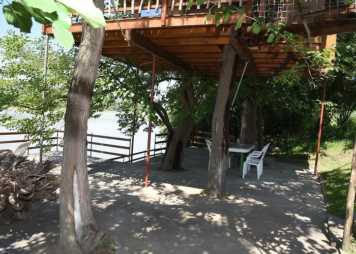 Kucica Na Drvetu Banja Koviljača