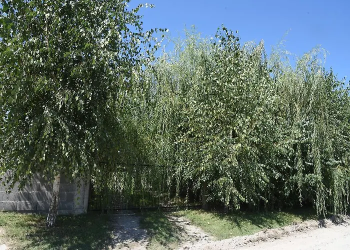 別荘 Kucica Na Drvetu *